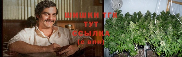 тгк Бородино
